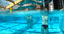 waterpark.png