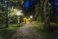 Zakopane city park