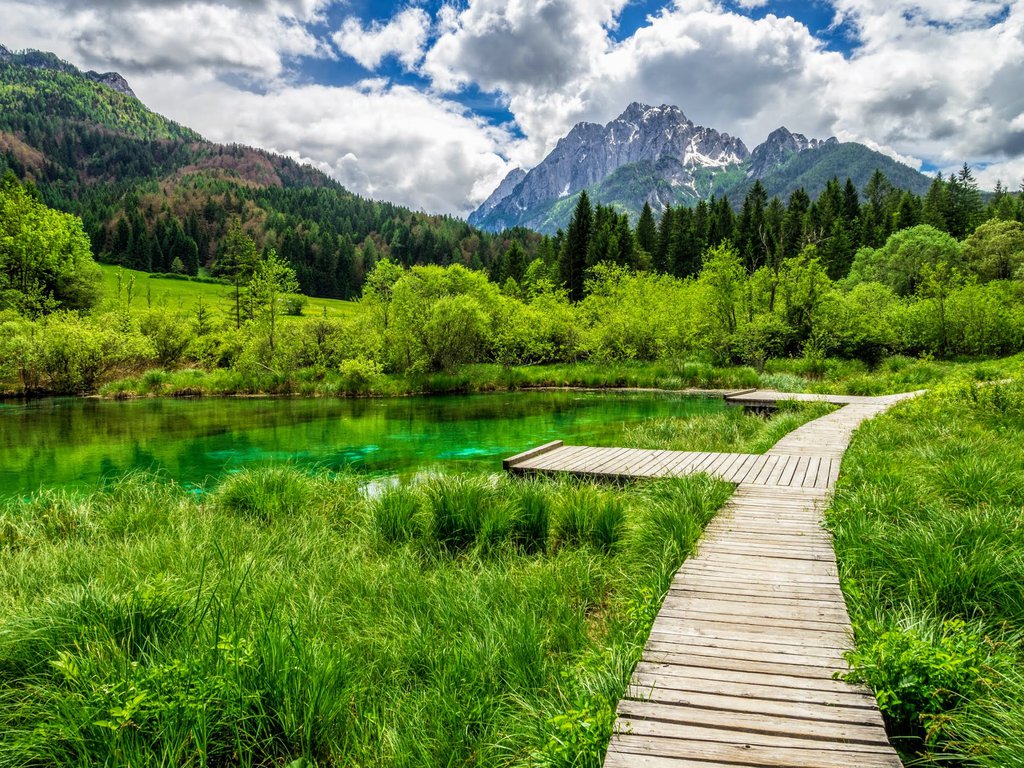 zelenci slovenia.jpg