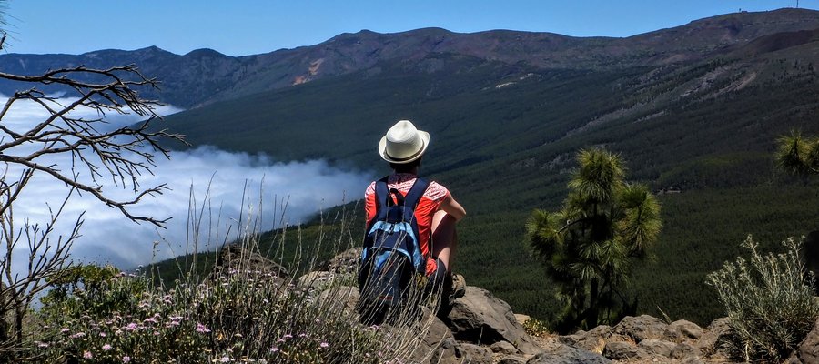 Contemplating the nature in Teide National Park