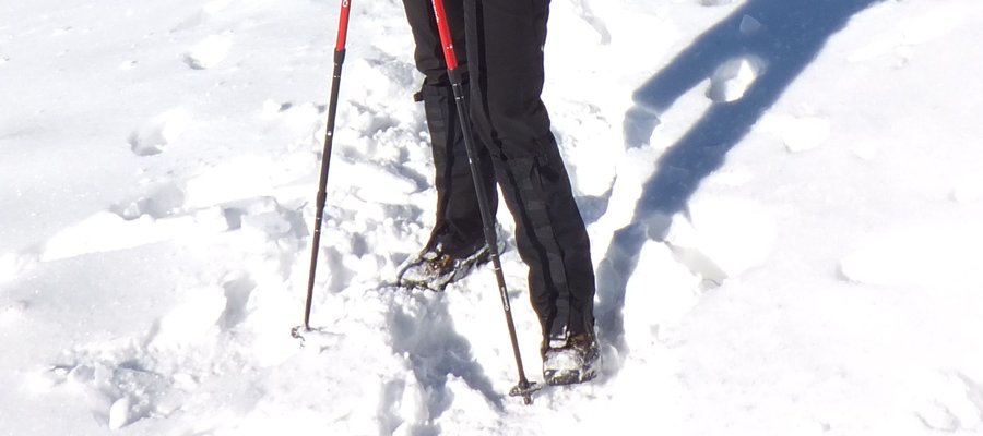 The North Face Gore-Tex shoe gaiters