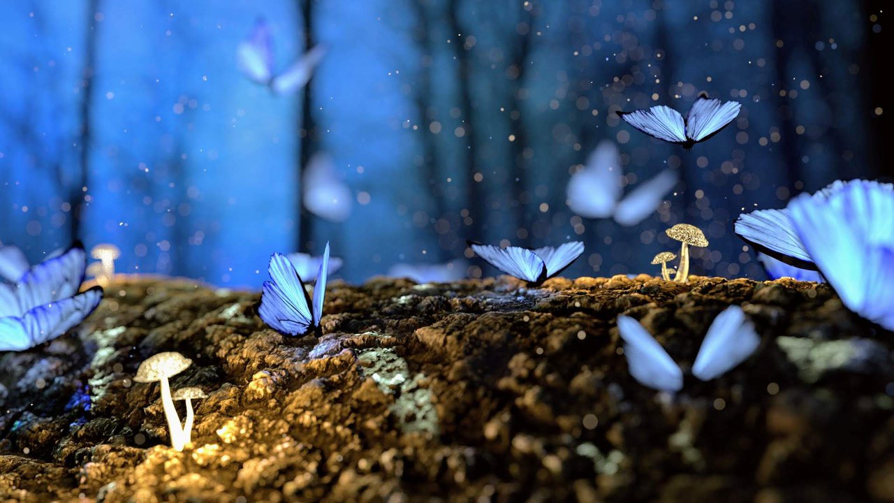 Dreamy butterflies