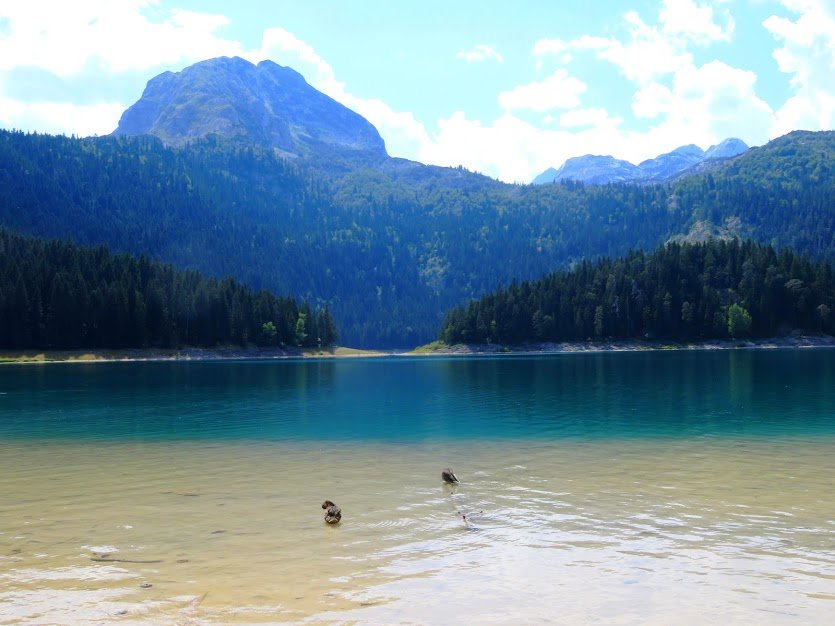 Durmitor National Park, Montenegro.JPG