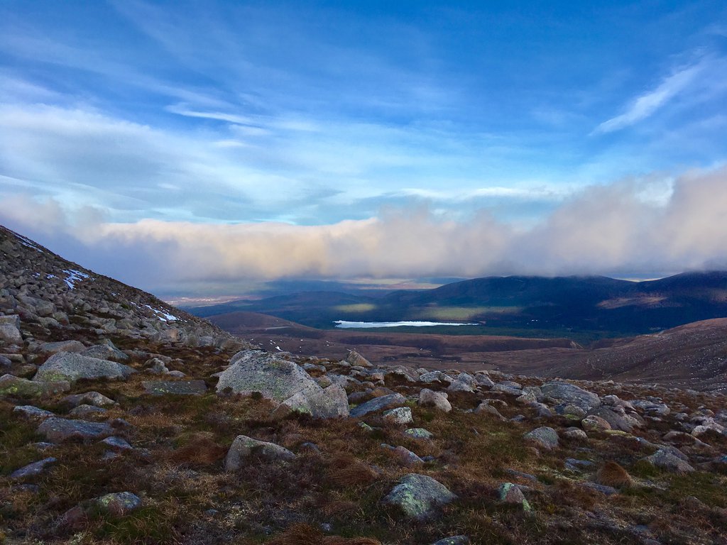 Expedition Wildlife_Cairngorm Mountains Scotland.jpg