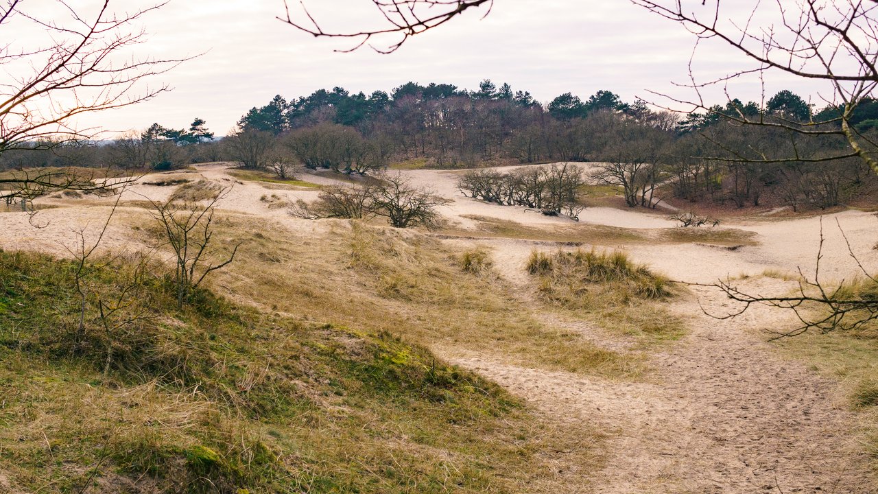 Fairy tale locations in The Netherlands _ Visit the dunes of Schoorl The Netherlands _ Best nature reserves of The Netherlands _ Off the beaten path places to visit in The Netherlands _ Travel blog The Netherlands.jpg