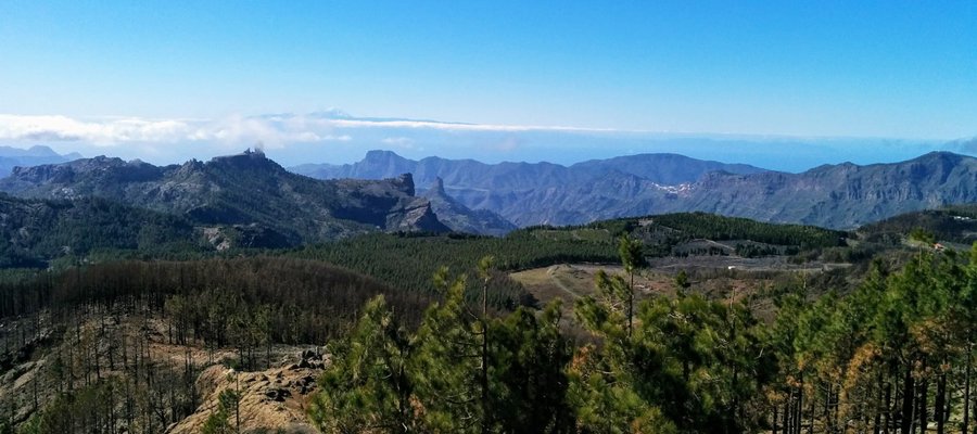 Hiking in Gran Canaria mountains