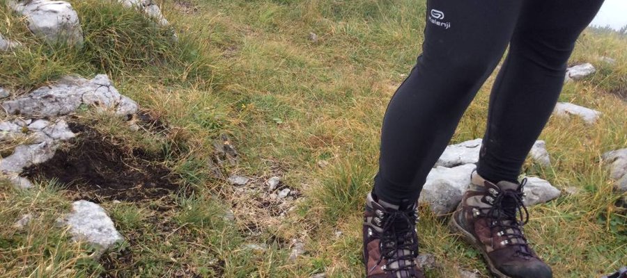 The North Face women's hiking boots - Verbera Hiker II GTX