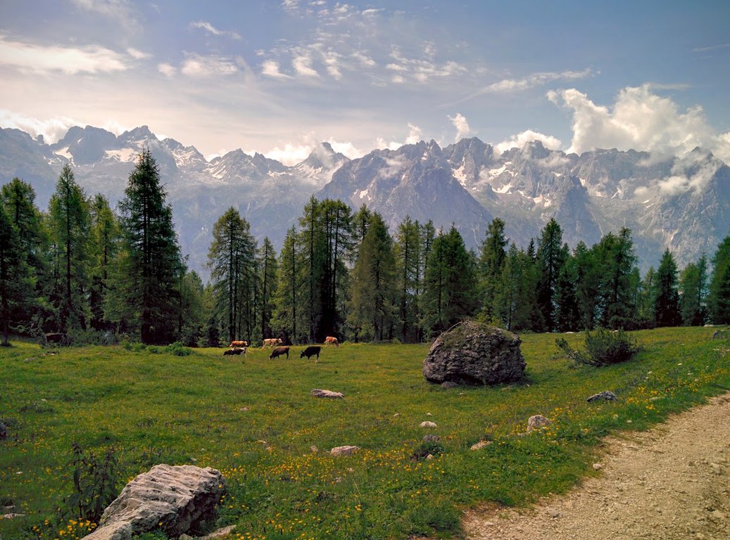 Hiking trail near Misurina - Rifugio Citta di Carpi