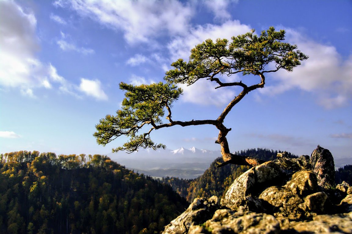 Pieniny mountain range in southern Poland