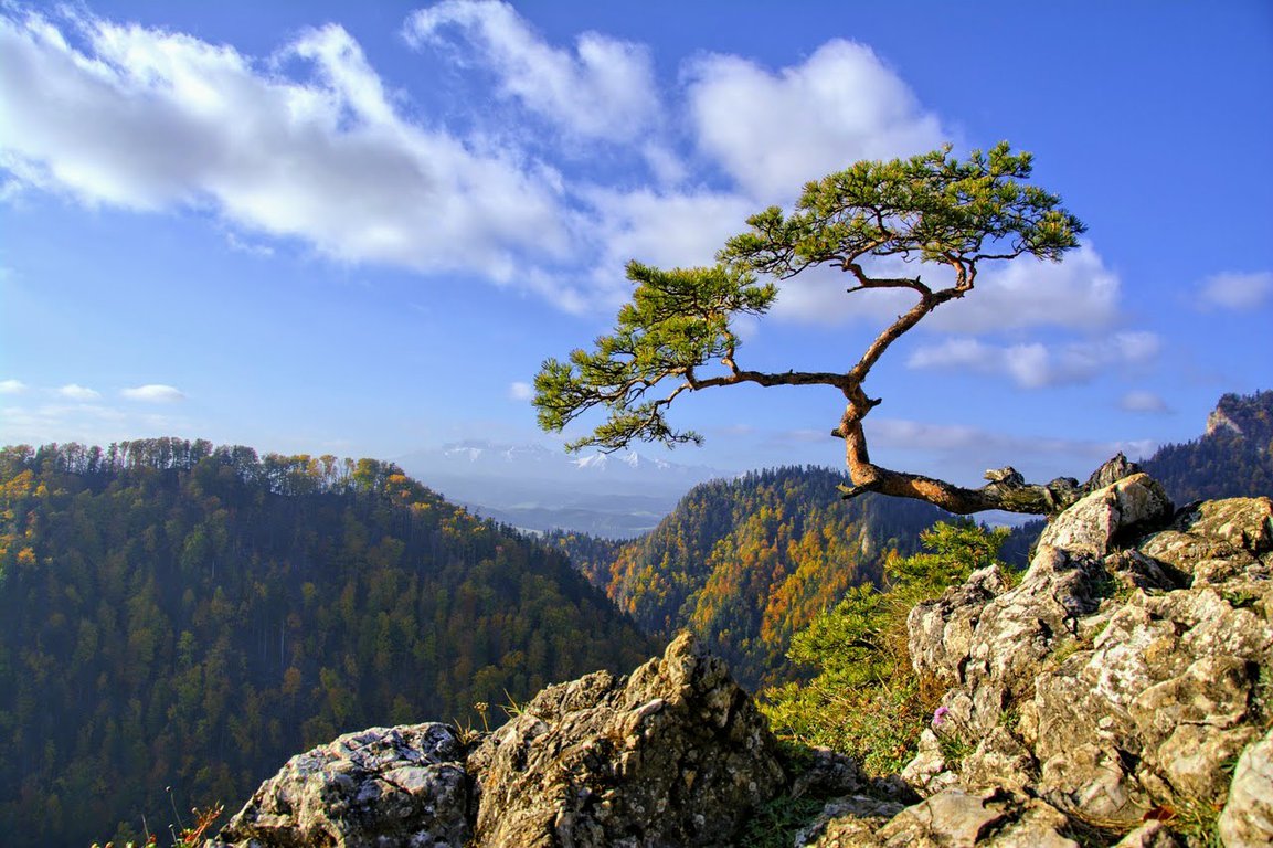 Pieniny mountains in southern Poland