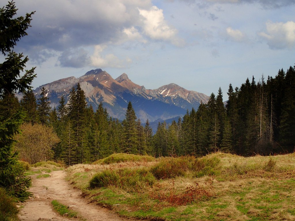 ROWIEN WAKSMUNDZKA, Tatra mountains, Poland