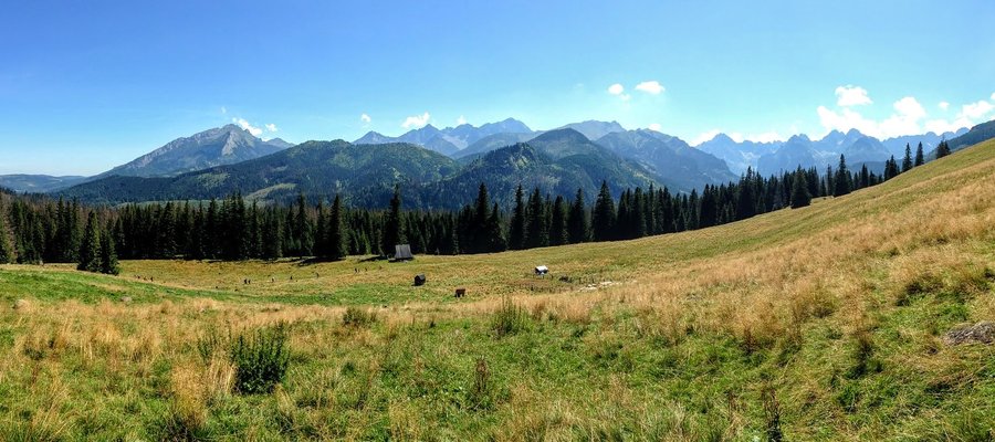 Rusinowa Polana clearing in Tatra mountains, Poland