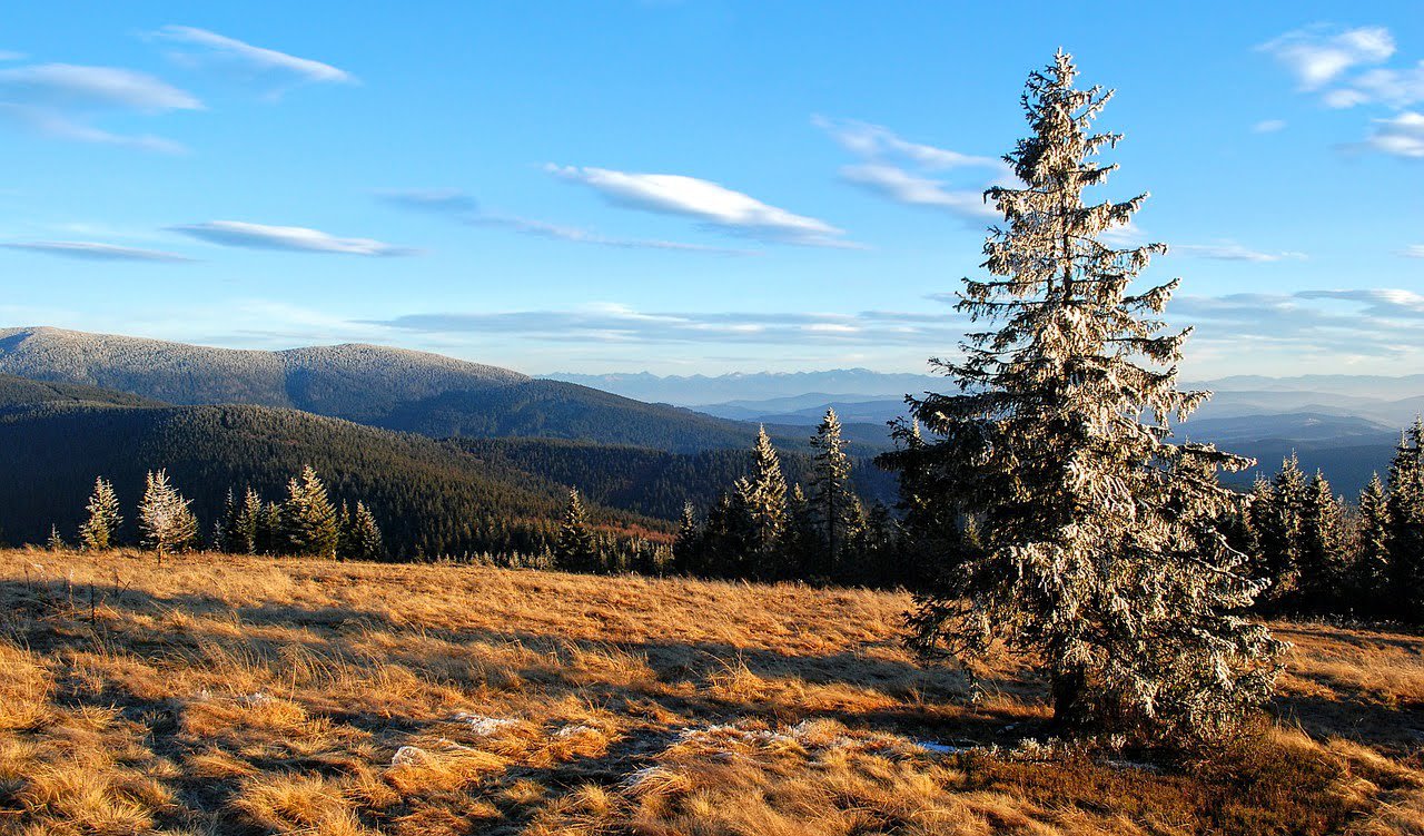 Rysianka alp in Zywiec Beskidy mountains, Poland