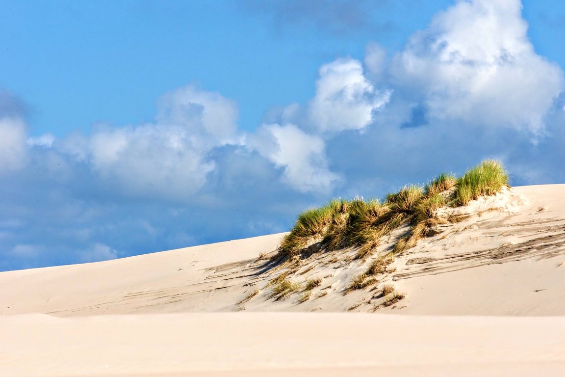 Slowinski National Park Poland.jpg