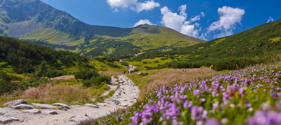 Summer in Tatra National Park, Poland