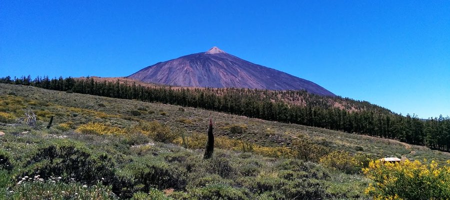 Teide National Park, Tenerife, Canary Islands